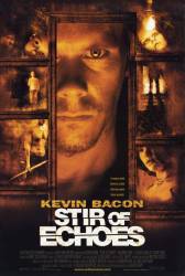 Stir of Echoes picture