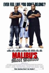 Malibu's Most Wanted picture