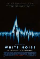 White Noise picture