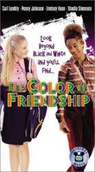 The Color of Friendship picture