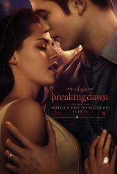 The Twilight Saga: Breaking Dawn - Part 1 picture